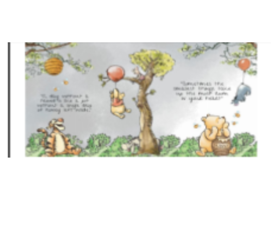 POOH STORY BOOK