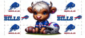 BILLS COW