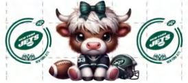 JETS COW
