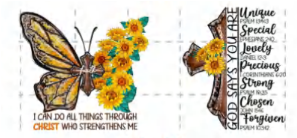 I CAN DO ALL THINGS THROUGH CHRIST