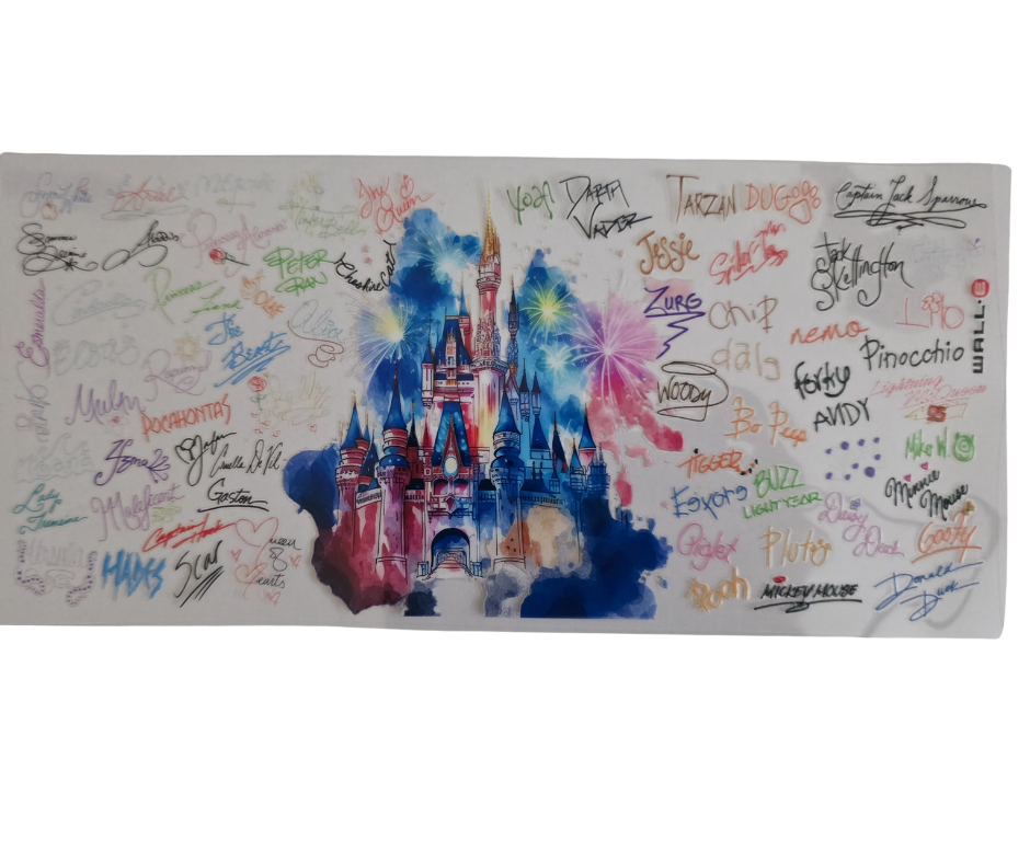 DISNEYLAND CASTLE