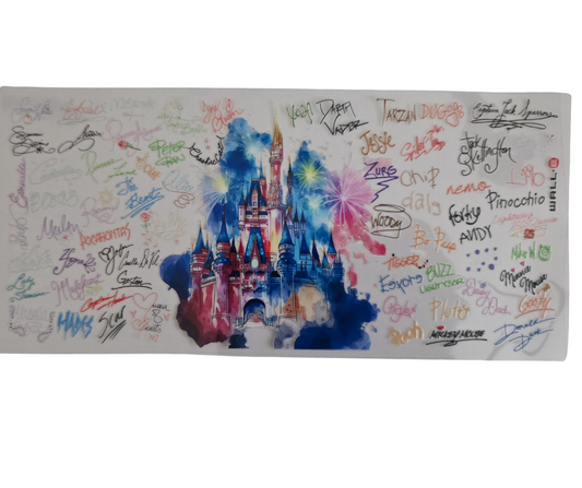 DISNEYLAND CASTLE