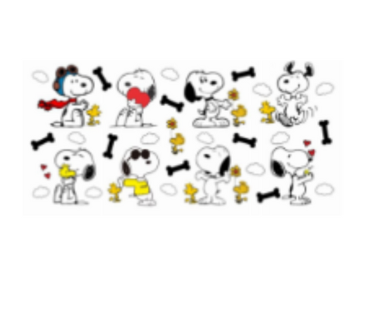 SNOOPY & WOODSTOCK